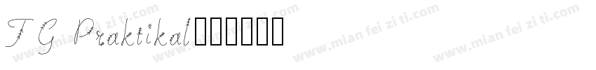 TG Praktikal字体转换